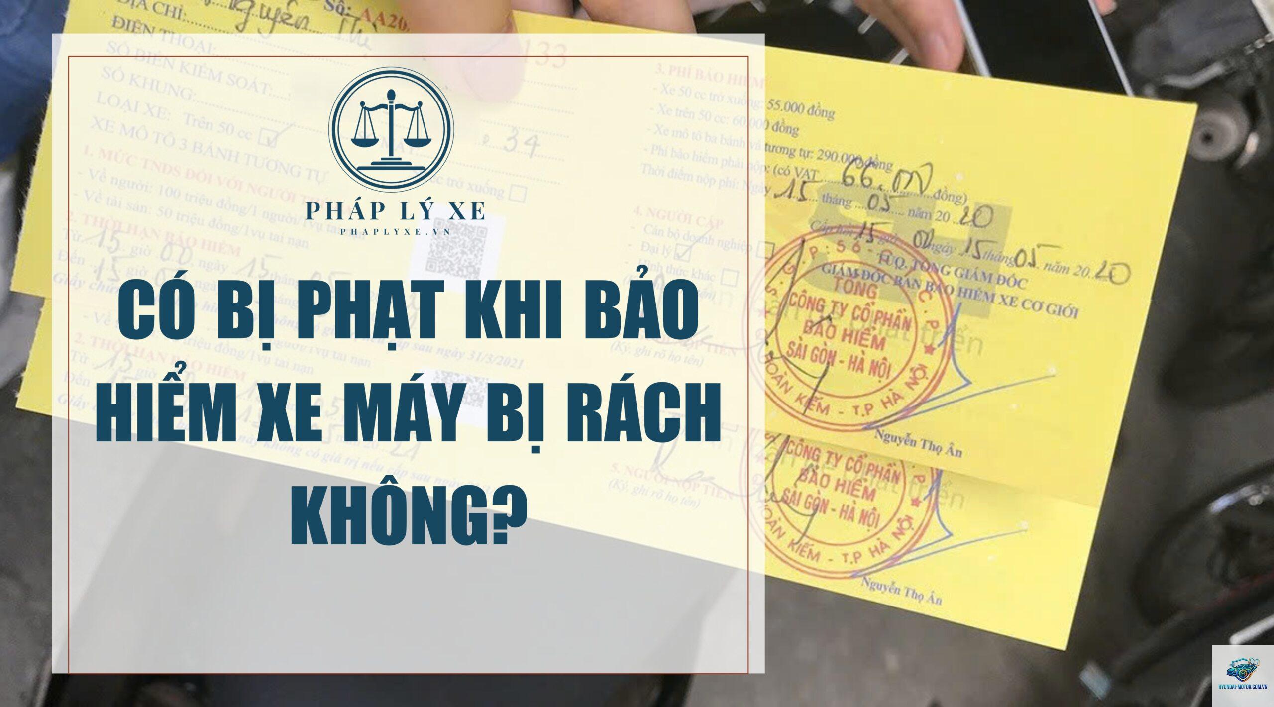 Giấy bảo hiểm xe bị rách có sao không - Hình 2