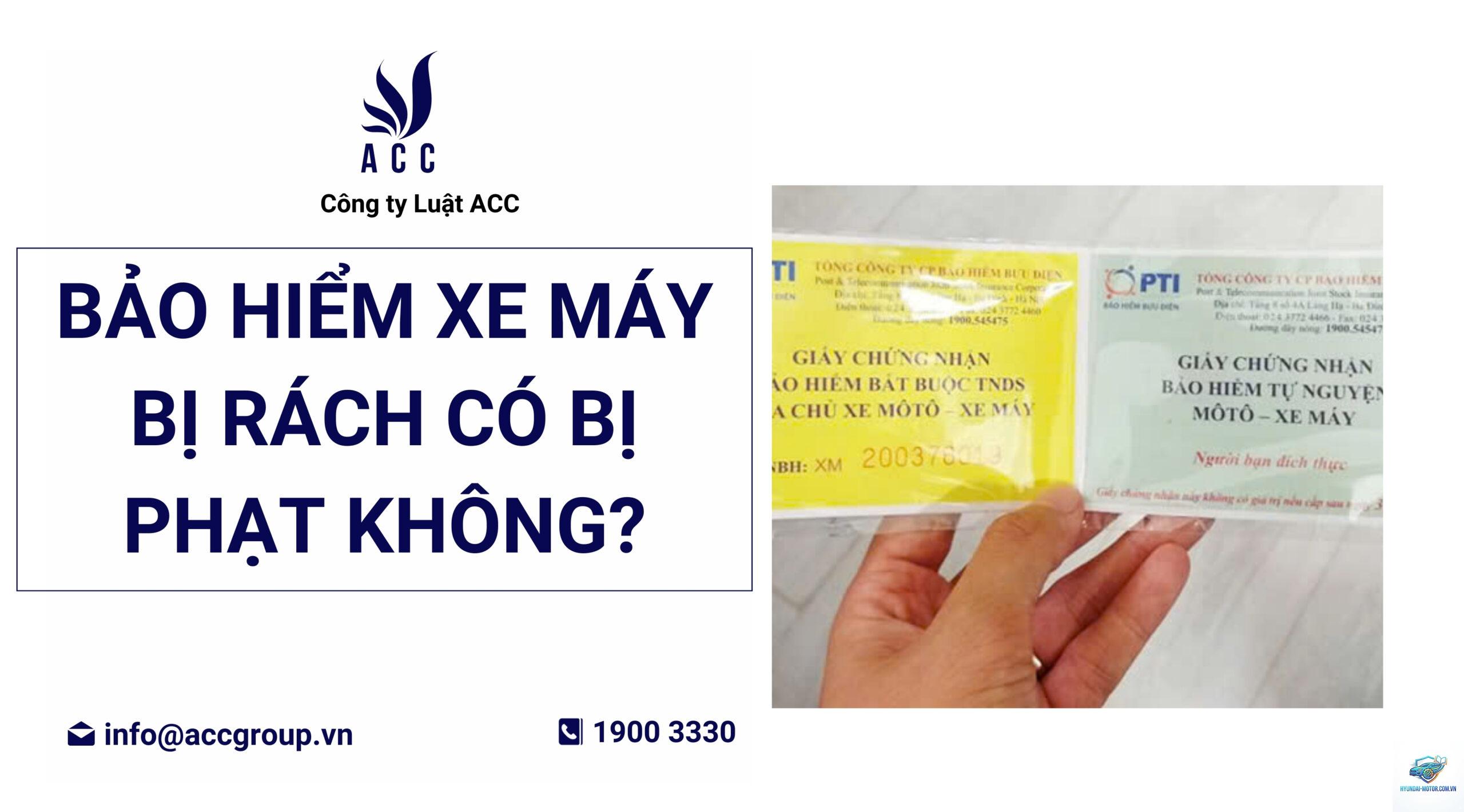 Giấy bảo hiểm xe bị rách có sao không - Hình 3