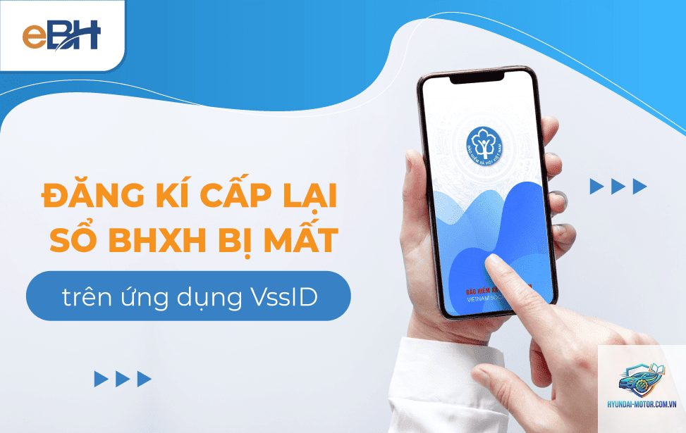 Mất giấy bảo hiểm điện tử - Hình 2