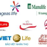 So sánh PVI và Bảo Việt: Lựa chọn nào tốt hơn cho bảo hiểm của bạn? So sánh PVI và Bảo Việt: Lựa chọn nào tốt hơn cho bảo hiểm của bạn?