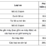 Quên mang bảo hiểm xe phạt bao nhiêu