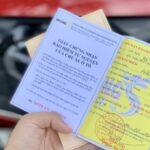 Sai tên chủ xe trên bảo hiểm: Nguyên nhân, hậu quả và cách xử lý triệt để Sai tên chủ xe trên bảo hiểm