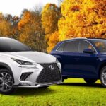So sánh Lexus NX và Audi Q5
