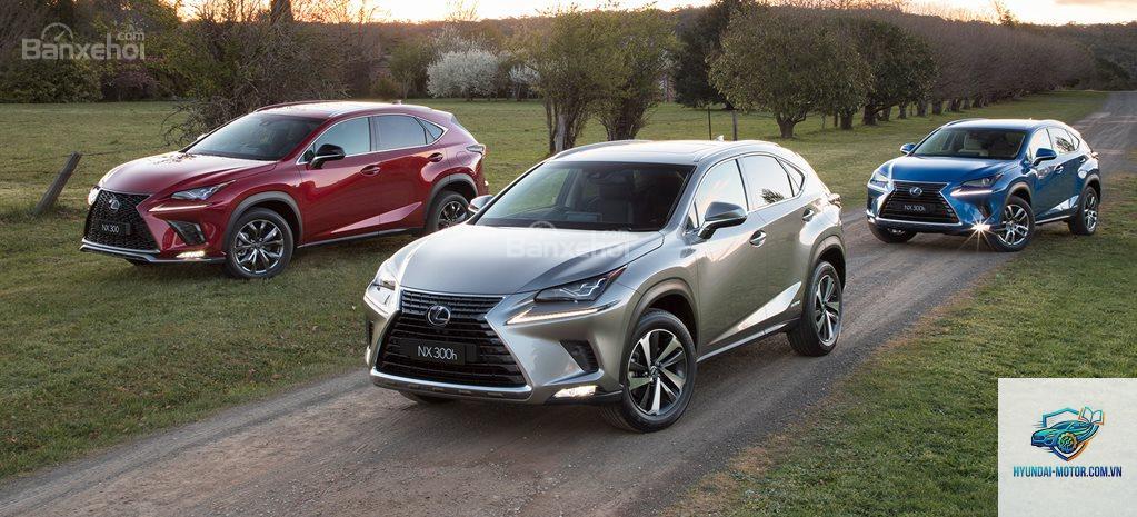 So sánh Lexus NX và Audi Q5 - Hình 2