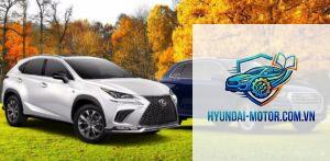 So sánh Lexus NX và Audi Q5