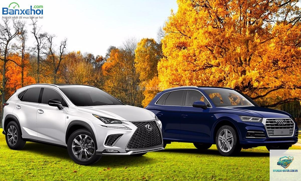 So sánh Lexus RX và Audi Q5 - Hình 3