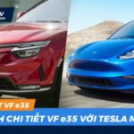 So sánh Tesla Model Y và VinFast VF 8