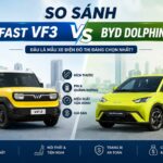 So sánh VinFast VF 3 và BYD Dolphin Mini: Chi tiết từ A-Z cho người mua xe điện mini So sánh VinFast VF 3 và BYD Dolphin Mini