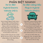 So sánh bản Hybrid và Plug-in Hybrid