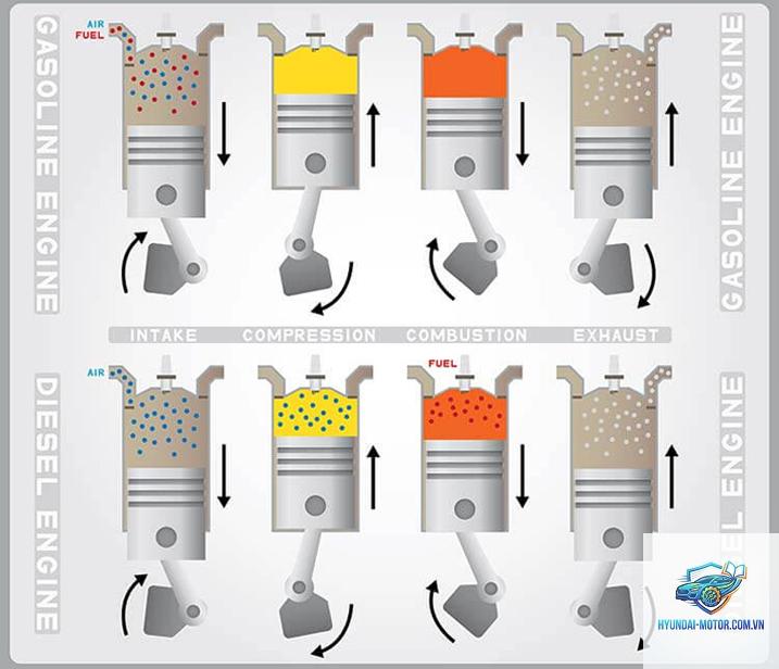 So sánh bản máy dầu và máy xăng - Hình 3