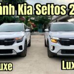 So sánh phiên bản Deluxe và Luxury