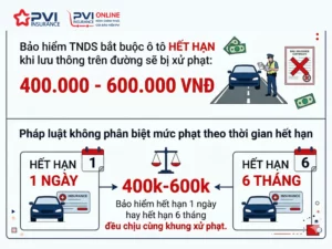 Thời hạn bảo hiểm ô tô