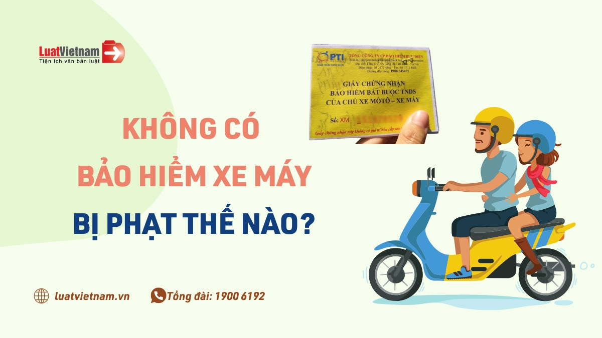 Xe không có bảo hiểm phạt bao nhiêu - Hình 2
