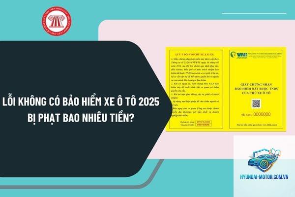 Xe không có bảo hiểm phạt bao nhiêu - Hình 5