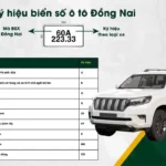 Biển số Đồng Nai: Quy định, thủ tục đăng ký và kinh nghiệm tra cứu nhanh nhất biển số Đồng Nai
