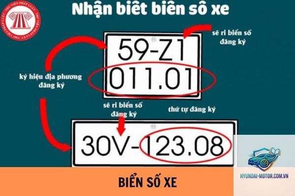 biển số định danh là gì - Hình 2