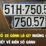 Biển số xe gánh: Ý nghĩa phong thủy, cách nhận biết và lý do được săn đón biển số xe gánh