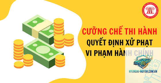 cưỡng chế thi hành quyết định xử phạt - Hình 2