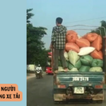 lỗi chở người trên thùng xe