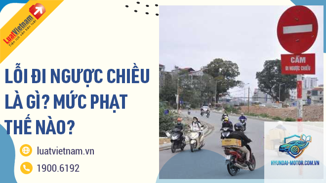 lỗi đi ngược chiều - Hình 2