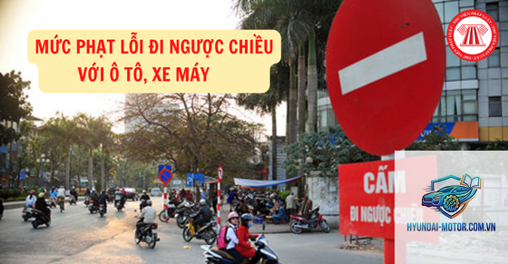 lỗi đi ngược chiều - Hình 4