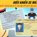 Lỗi Không Đăng Ký Xe: Toàn Bộ Quy Định, Mức Phạt Và Hướng Dẫn Xử Lý Mới Nhất 2025 lỗi không đăng ký xe