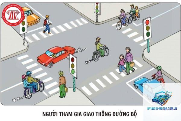 nghĩa vụ của người tham gia giao thông - Hình 4